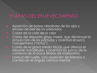 ETAPAS DEL ENJEVECIMIENTO Aparición de bolsas alrededor de los ojos y exceso de piel de los párpados Caída de la cola de la ceja Caída del deposito graso malar, que disminuye la proyección de los pómulos y acentúa el surco nasogeniano (“rictus”) Caída de la grasa medio facial, que atenúa el reborde mandibular, y acentúa los surcos de la comisura de la boca (líneas de marioneta) Laxitud del cuello, con aparición de bandas o cambio en el ángulo cervico-mental. 