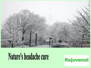 Nature's headache cure 