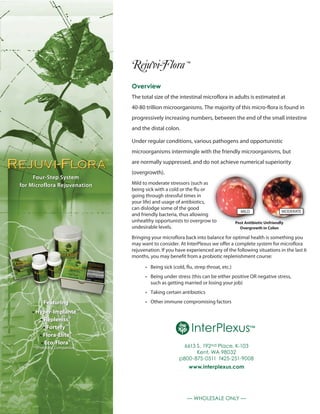 Rejuvi-Flora ™
— WHOLESALE ONLY —
The total size of the intestinal microflora in adults is estimated at
40-80 trillion microorganisms. The majority of this micro-flora is found in
progressively increasing numbers, between the end of the small intestine
and the distal colon.
Under regular conditions, various pathogens and opportunistic
microorganisms intermingle with the friendly microorganisms, but
are normally suppressed, and do not achieve numerical superiority
(overgrowth).
Mild to moderate stressors (such as
being sick with a cold or the flu or
going through stressful times in
your life) and usage of antibiotics,
can dislodge some of the good
and friendly bacteria, thus allowing
unhealthy opportunists to overgrow to
undesirable levels.
Bringing your microflora back into balance for optimal health is something you
may want to consider. At InterPlexus we offer a complete system for microflora
rejuvenation. If you have experienced any of the following situations in the last 6
months, you may benefit from a probiotic replenishment course:
	 •	 Being sick (cold, flu, strep throat, etc.)
	 •	 Being under stress (this can be either positive OR negative stress, 	
		 such as getting married or losing your job)
	 •	 Taking certain antibiotics
	 •	 Other immune compromising factors
Overview
™
InterPlexus™
6613 S. 192nd Place, K-103
Kent, WA 98032
p800-875-0511 f425-251-9008
www.interplexus.com
Featuring
• Hyper-Implanté™
• Répleniss®
• Fortéfy™
• Flora-Elite®
• Eco-Flora®
(Prebiotic Companion)
Post Antibiotic Unfriendly
Overgrowth in Colon
MILD MODERATE
Four-Step System
for Microflora Rejuvenation
™
 