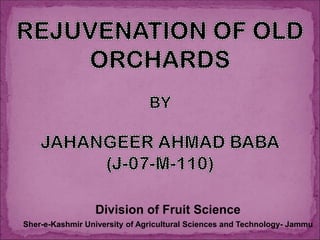 Division of Fruit Science
Sher-e-Kashmir University of Agricultural Sciences and Technology- Jammu
 