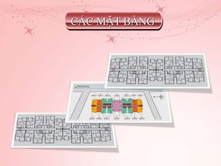 CÁC MẶT BẰNG
 
