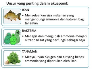 Dalam akuaponik penting unsur Akuaponik, Solusi