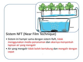 Model Akuaponik Sistem Raft