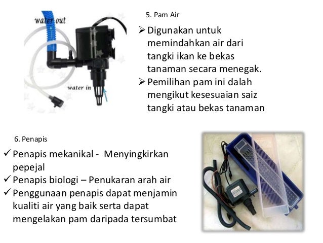 Reka bentuk akuaponik