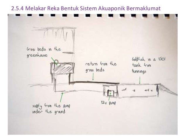 Lakaran Model Reka Bentuk Sistem Akuaponik