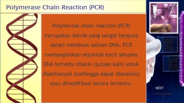 Rekayasa genetika