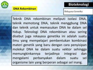 Bioteknologi
Rekayasa Genetika
DNA Rekombinan
Teknik DNA rekombinan meliputi isolasi DNA,
teknik memotong DNA, teknik menggbung DNA
dan teknik untuk memasukan DNA ke dalam sel
hidup. Teknologi DNA rekombinan atau sering
disebut juga rekayasa genetika ini adalah suatu
ilmu yang mempelajari pembentukan kombinasi
materi genetik yang baru dengan cara penyisipan
molekul DNA ke dalam suatu vektor sehingga
memungkinkannya terjadinya integrasi dan
mengalami perbanyakan dalam suatu sel
organisme lain yang berperan sebagai sel inang.
 