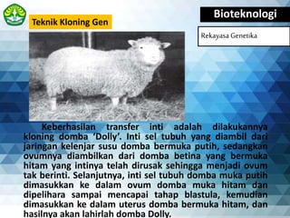 Bioteknologi
Rekayasa Genetika
Teknik Kloning Gen
Keberhasilan transfer inti adalah dilakukannya
kloning domba ‘Dolly’. Inti sel tubuh yang diambil dari
jaringan kelenjar susu domba bermuka putih, sedangkan
ovumnya diambilkan dari domba betina yang bermuka
hitam yang intinya telah dirusak sehingga menjadi ovum
tak berinti. Selanjutnya, inti sel tubuh domba muka putih
dimasukkan ke dalam ovum domba muka hitam dan
dipelihara sampai mencapai tahap blastula, kemudian
dimasukkan ke dalam uterus domba bermuka hitam, dan
hasilnya akan lahirlah domba Dolly.
 