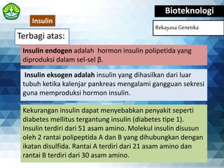 Terbagi atas:
Bioteknologi
Rekayasa Genetika
Insulin endogen adalah hormon insulin polipetida yang
diproduksi dalam sel-sel β.
Insulin
Insulin eksogen adalah insulin yang dihasilkan dari luar
tubuh ketika kalenjar pankreas mengalami gangguan sekresi
guna memproduksi hormon insulin.
Kekurangan insulin dapat menyebabkan penyakit seperti
diabetes mellitus tergantung insulin (diabetes tipe 1).
Insulin terdiri dari 51 asam amino. Molekul insulin disusun
oleh 2 rantai polipeptida A dan B yang dihubungkan dengan
ikatan disulfida. Rantai A terdiri dari 21 asam amino dan
rantai B terdiri dari 30 asam amino.
 