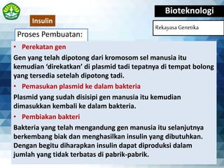 Proses Pembuatan:
Bioteknologi
Rekayasa Genetika
• Perekatan gen
Gen yang telah dipotong dari kromosom sel manusia itu
kemudian ‘direkatkan’ di plasmid tadi tepatnya di tempat bolong
yang tersedia setelah dipotong tadi.
• Pemasukan plasmid ke dalam bakteria
Plasmid yang sudah disisipi gen manusia itu kemudian
dimasukkan kembali ke dalam bakteria.
• Pembiakan bakteri
Bakteria yang telah mengandung gen manusia itu selanjutnya
berkembang biak dan menghasilkan insulin yang dibutuhkan.
Dengan begitu diharapkan insulin dapat diproduksi dalam
jumlah yang tidak terbatas di pabrik-pabrik.
Insulin
 