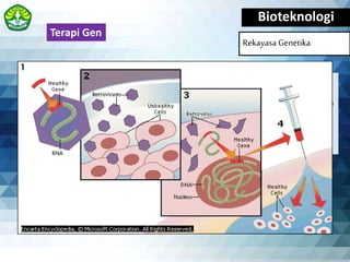 Bioteknologi
Rekayasa Genetika
Terapi gen adalah teknik untuk mengoreksi gen-
gen yang cacat yang bertanggung jawab terhadap
suatu penyakit atau perbaikan kelainan genetik
dengan memperbaiki gen.
Terapi Gen
 