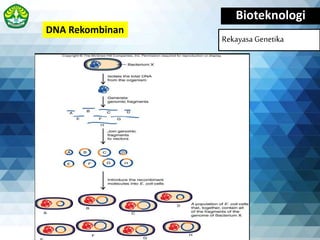 Bioteknologi
Rekayasa Genetika
DNA Rekombinan
 
