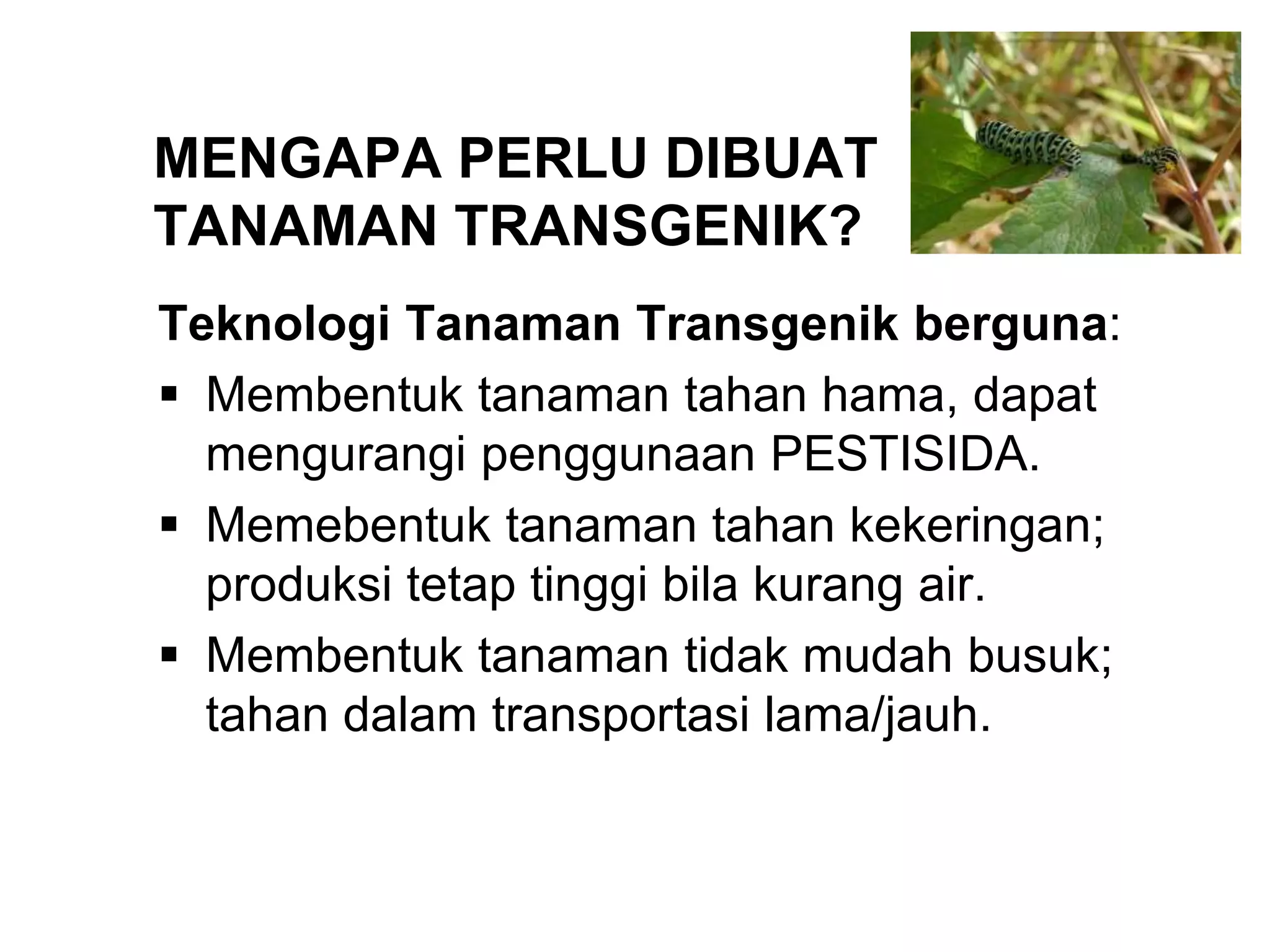 Rekayasa Genetika.ppt