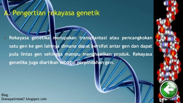 Rekayasa genetika  By DianaSM ppt