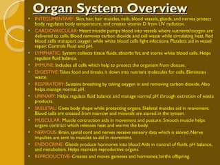 Organ System Overview INTEGUMENTARY:  Skin, hair, hair muscles, nails, blood vessels, glands, and nerves protect body, regulates body temperature, and creates vitamin D from UV radiation. CARDIOVASCULAR:  Heart muscle pumps blood into vessels where nutrients/oxygen are delivered to cells. Blood removes carbon dioxide and cell waste while circulating heat. Red blood cells transport oxygen while white blood cells fight infections. Platelets aid in vessel repair. Controls Fluid and pH. LYMPHATIC:  System collects tissue fluids, absorbs fat, and stores white blood cells. Helps regulate fluid balance. IMMUNE:  Includes all cells which help to protect the organism from disease. DIGESTIVE:  Takes food and breaks it down into nutrient molecules for cells. Eliminates waste. RESPIRATORY:  Sustains breathing by taking oxygen in and removing carbon dioxide. Also helps manage normal pH. URINARY:  Helps regulate fluid balance and manage normal pH through excretion of waste products. SKELETAL:  Gives body shape while protecting organs. Skeletal muscles aid in movement. Blood cells are created from marrow and minerals are stored in the system. MUSCULAR:  Muscle contraction aids in movement and posture. Smooth muscle helps organs contract which releases heat and warms the body. NERVOUS:  Brain, spinal cord and nerves receive sensory data which is stored. Nerve impulses are sent to muscles to aid in movement. ENDOCRINE:  Glands produce hormones into blood. Aids in control of fluids, pH balance, and metabolism. Helps maintain reproductive organs. REPRODUCTIVE:  Creates and moves gametes and hormones; births offspring.  