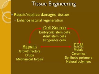 Tissue Engineering 