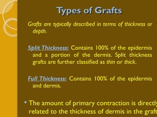 Types of Grafts Grafts are typically described in terms of thickness or depth. Split Thickness :  Contains 100% of the epidermis and a portion of the dermis. Split thickness grafts are further classified as  thin  or  thick . Full Thickness :  Contains 100% of the epidermis and dermis. The amount of primary contraction is directly related to the thickness of dermis in the graft. 