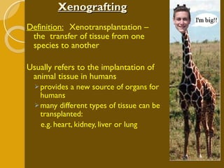Xenografting Definition: Xenotransplantation – the  transfer of tissue from one species to another Usually refers to the implantation of animal tissue in humans provides a new source of organs for humans many different types of tissue can be transplanted: e.g. heart, kidney, liver or lung 