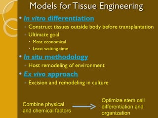 Models for Tissue Engineering In vitro  differentiation Construct tissues outside body before transplantation Ultimate goal Most economical Least waiting time In situ  methodology Host remodeling of environment Ex vivo  approach Excision and remodeling in culture Combine physical and chemical factors Optimize stem cell differentiation and organization 