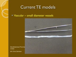 Current TE models Vascular – small diameter vessels  Decellularised Porcine Ureter Mr Chris Derham 