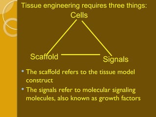 Tissue engineering requires three things: Cells Signals Scaffold The scaffold refers to the tissue model construct The signals refer to molecular signaling molecules, also known as growth factors 