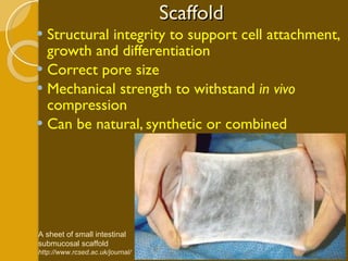 Scaffold Structural integrity to support cell attachment, growth and differentiation Correct pore size Mechanical strength to withstand  in vivo  compression Can be natural, synthetic or combined A sheet of small intestinal submucosal scaffold http://www.rcsed.ac.uk/journal/   