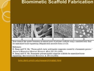 Biomimetic Scaffold Fabrication                                                                                                                                            bms.dent.umich.edu/research/malab.html 