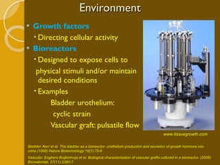 Environment Growth factors Directing cellular activity Bioreactors Designed to expose cells to  physical stimuli and/or maintain desired conditions Examples Bladder urothelium: cyclic strain Vascular graft: pulsatile flow ITEMS Bioreactor:        Six Station Vascular Bioreactor   www.tissuegrowth.com Bladder: Kerr et al. The bladder as a bioreactor: urothelium production and secretion of growth hormone into urine.(1998) Nature Biotechnology 16(1):75-9  Vascular: Engbers-Buijtenhuijs et al. Biological characterisation of vascular grafts cultured in a bioreactor. (2006) Biomaterials. 27(11):2390-7 