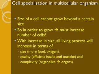 Cell specialisation in multicellular organism Size of a cell cannot grow beyond a certain size So in order to grow    must increase number of cells! With increase in size, all living process will increase in terms of  size (more food, oxygen),  quality (efficient intake and outtake) and complexity (organelles    organs) 