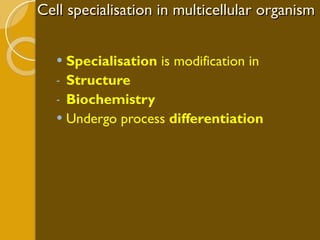 Cell specialisation in multicellular organism Specialisation  is modification in Structure Biochemistry Undergo process  differentiation 