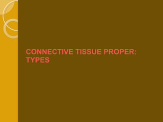 CONNECTIVE TISSUE PROPER: TYPES 