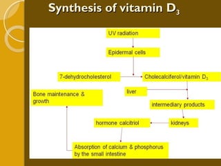 Synthesis of vitamin D 3 