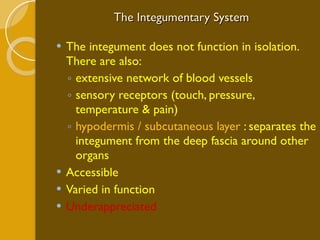 The Integumentary System The integument does not function in isolation. There are also:  extensive network of blood vessels sensory receptors (touch, pressure, temperature & pain) hypodermis / subcutaneous layer  : separates the integument from the deep fascia around other organs Accessible Varied in function Underappreciated 