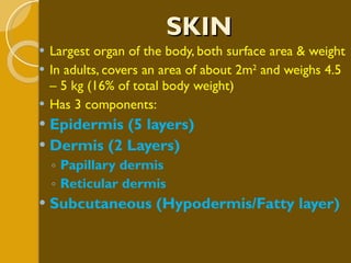 SKIN Largest organ of the body, both surface area & weight In adults, covers an area of about 2m 2  and weighs 4.5 – 5 kg (16% of total body weight) Has 3 components: Epidermis (5 layers) Dermis (2 Layers) Papillary dermis Reticular dermis Subcutaneous (Hypodermis/Fatty layer) ) 
