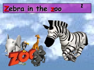 Z ebra in the  z oo Z 