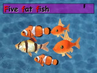 F ive  f at  f ish F 