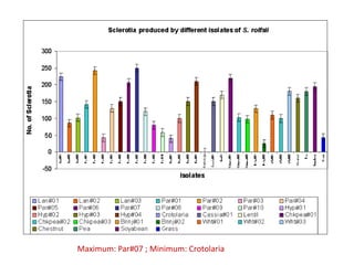 Maximum: Par#07 ; Minimum: Crotolaria
 
