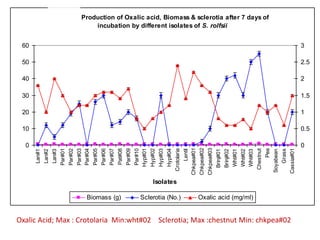Fig.6a : Production of Oxalic acid, Biomass & sclerotia after 7 days of
                                       incubation by different isolates of S. rolfsii


 60                                                                                                                                                                                                                                                                                  3

 50                                                                                                                                                                                                                                                                                  2.5

 40                                                                                                                                                                                                                                                                                  2

 30                                                                                                                                                                                                                                                                                  1.5

 20                                                                                                                                                                                                                                                                                  1

 10                                                                                                                                                                                                                                                                                  0.5

  0                                                                                                                                                                                                                                                                                  0




                                                                                                                                                       Chkpea#01
                                                                                                                                                                     Chkpea#02
                                                                                                                                                                                 Chkpea#03




                                                                                                                                                                                                                                                Pea
                              Par#01
                                       Par#02
                                                Par#03
                                                Par#04
                                                         Par#05
                                                                  Par#06
                                                                           Par#07
                                                                                    Pat#08
                                                                                             Par#09
                                                                                                      Par#10
                                                                                                      Hyp#01
                                                                                                               Hyp#02
                                                                                                                        Hyp#03
                                                                                                                                 Hyp#04
                                                                                                                                          Crotolaria




                                                                                                                                                                                                                                                                         Cassia#01
                                                                                                                                                                                                                                     Chestnut



                                                                                                                                                                                                                                                                 Grass
                                                                                                                                                            Lentil
      Lan#1
              Lan#2
                      Lan#3




                                                                                                                                                                                                                   Wht#01
                                                                                                                                                                                                                            Wht#02
                                                                                                                                                                                                                            Wht#03
                                                                                                                                                                                             Brinj#01
                                                                                                                                                                                                        Brinj#02




                                                                                                                                                                                                                                                      Soyabean
                                                                                                                 Isolates

                                                    Biomass (g)                                         Sclerotia (No.)                                              Oxalic acid (mg/ml)


Oxalic Acid; Max : Crotolaria Min:wht#02 Sclerotia; Max :chestnut Min: chkpea#02
 