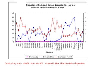 Fig.6b: Production of Oxalic acid, Biomass & sclerotia after 14days of
                                         incubation by different isolates of S. rolfsii


      140                                                                                                                                                                                                                                                                                                                    7

      120                                                                                                                                                                                                                                                                                                                    6

      100                                                                                                                                                                                                                                                                                                                    5

       80                                                                                                                                                                                                                                                                                                                    4

       60                                                                                                                                                                                                                                                                                                                    3

       40                                                                                                                                                                                                                                                                                                                    2

       20                                                                                                                                                                                                                                                                                                                    1

        0                                                                                                                                                                                                                                                                                                                    0




                                                                                                                                                                                        Chkpea#01
                                                                                                                                                                                                    Chkpea#02
                                                                                                                                                                                                                Chkpea#03




                                                                                                                                                                                                                                                                                        Pea
                                    Par#01
                                             Par#02
                                                      Par#03
                                                               Par#04
                                                                        Par#05
                                                                                 Par#06
                                                                                          Par#07
                                                                                                   Pat#08
                                                                                                            Par#09
                                                                                                                     Par#10
                                                                                                                              Hyp#01
                                                                                                                                       Hyp#02
                                                                                                                                                Hyp#03
                                                                                                                                                         Hyp#04
                                                                                                                                                                  Crotolaria




                                                                                                                                                                                                                                                                                                                 Cassia#01
                                                                                                                                                                                                                                                                             Chestnut



                                                                                                                                                                                                                                                                                                         Grass
                                                                                                                                                                               Lentil
            Lan#1
                    Lan#2
                            Lan#3




                                                                                                                                                                                                                                                  Wht#01
                                                                                                                                                                                                                                                           Wht#02
                                                                                                                                                                                                                                                                    Wht#03
                                                                                                                                                                                                                            Brinj#01
                                                                                                                                                                                                                                       Brinj#02




                                                                                                                                                                                                                                                                                              Soyabean
                                                                                                                                         Isolates

                                                                 Biomass (g)                                                  Sclerotia (No.)                                                       Oxalic acid (mg/ml)


Oxalic Acid; Max : Lan#03 Min: hyp #02 Sclerotia; Max :chestnut Min: chkpea#01
 