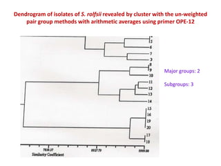 Dendrogram of isolates of S. rolfsii revealed by cluster with the un-weighted
    pair group methods with arithmetic averages using primer OPE-12




                                                           Major groups: 2

                                                           Subgroups: 3
 