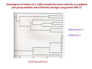 Dendrogram of isolates of S. rolfsii revealed by cluster with the un-weighted
    pair group methods with arithmetic averages using primer OPE-17




                                                           Major groups: 2

                                                           Subgroups: 5




                     Similarity coefficient
 