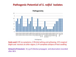 Pathogenic Potential of S. rolfsii Isolates
                               Pathogenicity
      3.5

       3

      2.5

       2

      1.5

       1

      0.5

       0




               Brinj#01
               Brinj#02
                Hyp#01
                Hyp#02
                Hyp#03
                Hyp#04




               Wht#01
               Wht#02
               Wht#03
                Par#01
                Par#02
                Par#03
                Par#04
                Par#05
                Par#06
                Par#07
                Par#08
                Par#09
                Par#10




                  Grass
                  Lentil




              Chestnut
                    Pea
              Soybean

                   SEM
                Lan#01
                Lan#02
                Lan#03




            Chkpea#01
            Chkpea#02
            Chkpea#03
             Crotolaria
             Cassia#01
                                   Pathogenicity

Scale used: 0 no symptoms; 1Initial wilting and yellowing; 2 marginal
blight and necrosis at collar region; 3: complete collapse of host seedling

Amount of Inoculum: 0.1 g of infective propagule and observation recorded
after 48 h
 