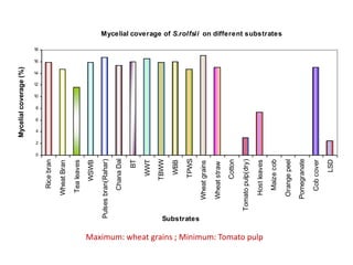 Mycelial coverage (%)




                                                                                                    10
                                                                                                         12
                                                                                                              14
                                                                                                                   16
                                                                                                                        18




                                                                               0
                                                                                   2
                                                                                        4
                                                                                            6
                                                                                                8
                                                                  Rice bran

                                                                Wheat Bran

                                                                 Tea leaves

                                                                     WSWB

                                                     Pulses bran(Rahar)
                                                                  Chana Dal

                                                                         BT

                                                                      WWT
                                                                     TBWW

                                                                       WBB

                                                                      TPWS



                                               Substrates
                                                               Wheat grains

                                                               Wheat straw
                                                                     Cotton

                                                            Tomato pulp(dry)
Maximum: wheat grains ; Minimum: Tomato pulp

                                                                Host leaves

                                                                  Maize cob
                                                                                                                             Fig : Mycelial coverage of S.rolfsii on different substrates




                                                                Orange peel
                                                               Pomegranate

                                                                  Cob cover

                                                                       LSD
 