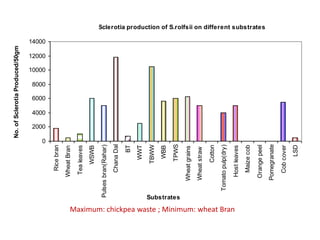 No. of Sclerotia Produced/50gm




                                                                                      2000
                                                                                             4000
                                                                                                    6000
                                                                                                           8000
                                                                                                                  10000
                                                                                                                          12000
                                                                                                                                  14000




                                                                                0
                                                                   Rice bran
                                                                 Wheat Bran
                                                                  Tea leaves
                                                                      WSWB
                                                     Pulses bran(Rahar)
                                                                   Chana Dal
                                                                          BT
                                                                       WWT
                                                                      TBWW
                                                                        WBB

                                                                       TPWS


                                                Substrates
                                                                Wheat grains
                                                                Wheat straw
                                                                      Cotton
                                                             Tomato pulp(dry)
Maximum: chickpea waste ; Minimum: wheat Bran


                                                                 Host leaves
                                                                   Maize cob
                                                                 Orange peel
                                                                                                                                          Fig : Sclerotia production of S.rolfsii on different substrates




                                                                Pomegranate
                                                                   Cob cover
                                                                        LSD
 