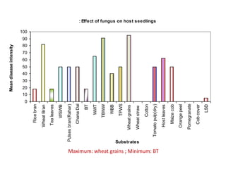 Mean disease intensity



                                                                                                                       100




                                                                      0
                                                                          10
                                                                               20
                                                                                    30
                                                                                         40
                                                                                              50
                                                                                                   60
                                                                                                        70
                                                                                                             80
                                                                                                                  90
                                                         Rice bran
                                                       Wheat Bran
                                                        Tea leaves
                                                            WSWB
                                            Pulses bran(Rahar)
                                                         Chana Dal

                                                                BT
                                                             WWT
                                                            TBWW
                                                              WBB
                                                             TPWS
                                                      Wheat grains


                                      Substrates
                                                      Wheat straw
                                                            Cotton
                                                                                                                             Fig : Effect of fungus on host seedlings




                                                   Tomato pulp(dry)
Maximum: wheat grains ; Minimum: BT

                                                       Host leaves
                                                         Maize cob
                                                       Orange peel

                                                      Pomegranate
                                                         Cob cover
                                                              LSD
 