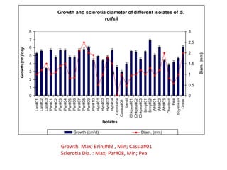 Growth (cm)/day




                                                                                  0
                                                                                      1
                                                                                            2
                                                                                                  3
                                                                                                      4
                                                                                                            5
                                                                                                                6
                                                                                                                      7
                                                                                                                          8
                                                                       Lan#01
                                                                       Lan#02
                                                                       Lan#03
                                                                       Par#01
                                                                       Par#02
                                                                       Par#03
                                                                       Par#04
                                                                       Par#05
                                                                       Par#06
                                                                       Par#07
                                                                       Par#08
                                                                       Par#09
                                                                       Par#10




                                         Growth (cm/d)
                                                                       Hyp#01
                                                                       Hyp#02
                                                                       Hyp#03
                                                                       Hyp#04
                                                                                                 z
                                                                                                 5




                                                         Isolates
                                                                                                                                                            rolfsii




                                                                     Crotolaria
                                                                    Cassia#01
                                                                         Lentil
                                                                    Chkpea#01
                                                                    Chkpea#02
                                                                    Chkpea#03


Sclerotia Dia. : Max; Par#08, Min; Pea
Growth: Max; Brinj#02 , Min; Cassia#01                                Brinj#01
                                                                      Brinj#02
                                                                       Wht#01
                                                                       Wht#02
                                         Diam. (mm)




                                                                       Wht#03
                                                                      Chestnut
                                                                           Pea
                                                                     Soyabean
                                                                                                                              Fig. 5a : Growth and sclerotia diameter of different isolates of S.




                                                                        Grass
                                                                                  0
                                                                                                1
                                                                                                            2
                                                                                                                          3




                                                                                      0.5
                                                                                                      1.5
                                                                                                                    2.5




                                                                                                 Diam. (mm)
 