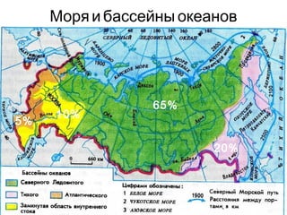 Моря и бассейны океанов 
65% 
20% 
5% 10% 
 