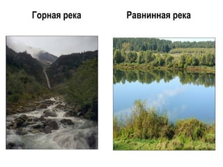Горная река Равнинная река 
 