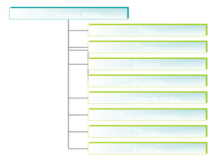ВВннууттррееннннииее ввооддыы 
РРееккии 
ООззеерраа 
ББооллооттаа 
ЛЛееддннииккии 
ППооддззееммнныыее ввооддыы 
ВВооддооххррааннииллиищщаа 
ППррууддыы 
ККааннааллыы 
 
