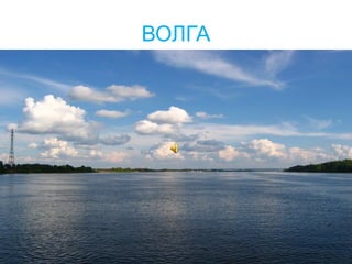 ВОЛГА 
 